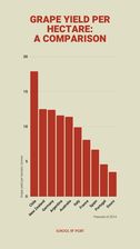 Grape yield per hectare